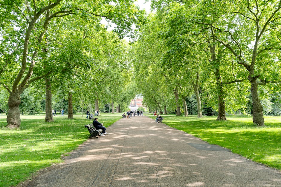 A wide, straight pathway in a park lined with large, leafy green trees on both sides, providing shade along the route. Several people are seated on black park benches positioned along the pathway, som